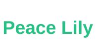 Peace Lily